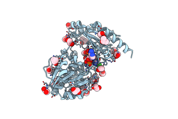 5O58 image