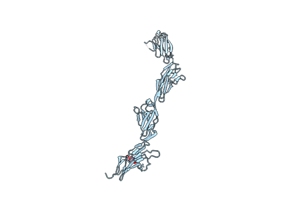 5O5G image
