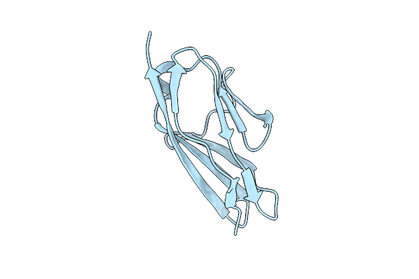 5O5I image