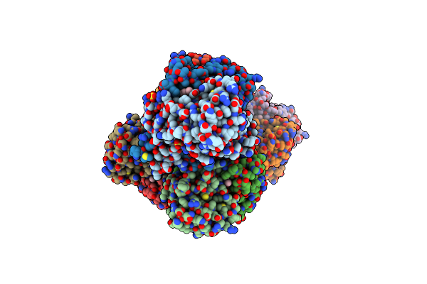 5O5K image