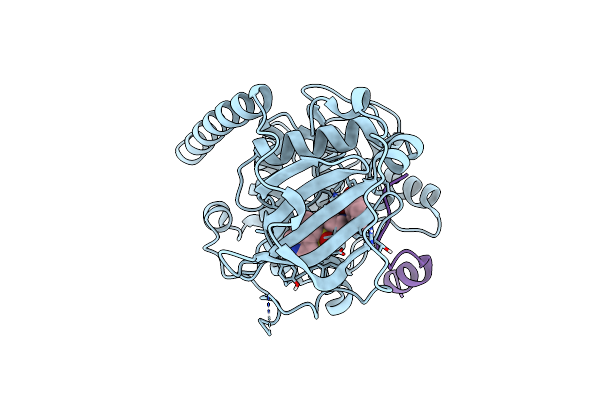 5O5M image