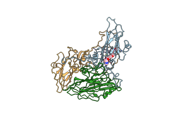 5O5P image