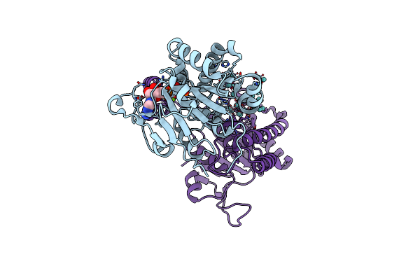 5O5W image