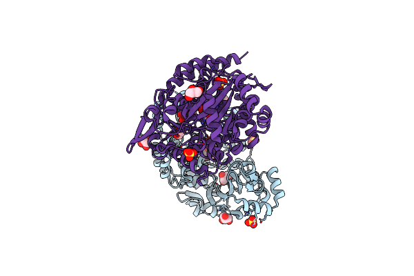 5O5X image