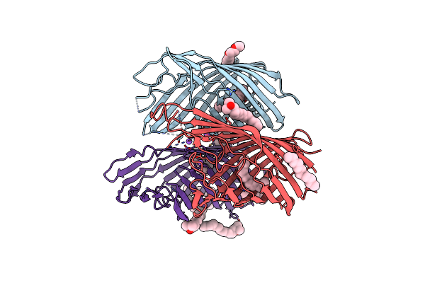 5O65 image