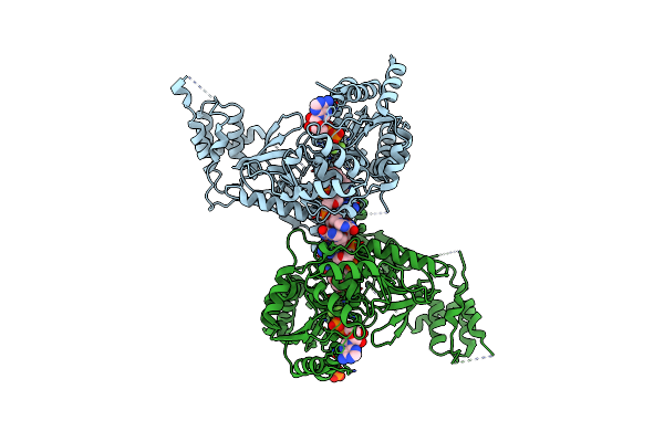 5O6B image