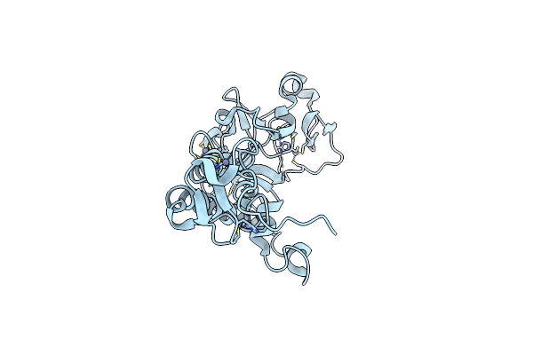 5O6C image