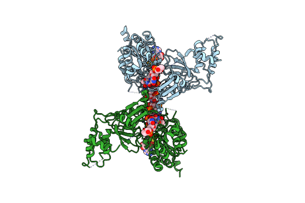5O6D image