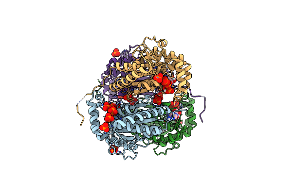 5O6M image