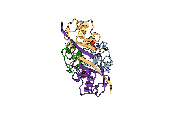 5O6T image