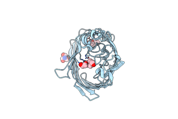 5O77 image