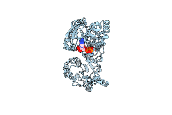 5O7D image