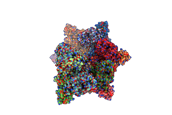 5O7X image