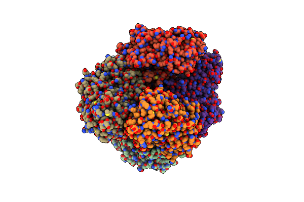 5O81 image
