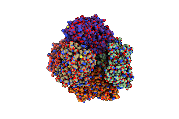 5O82 image