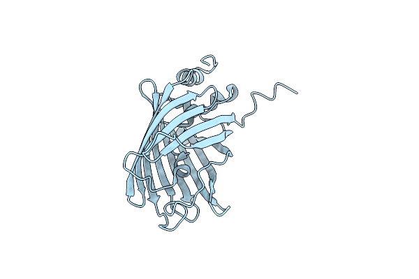 5O8A image