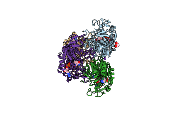 5O8H image