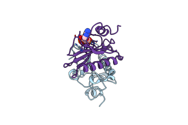 5O8I image