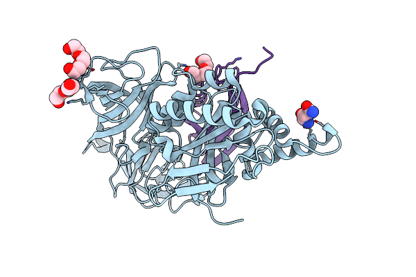 5O8W image