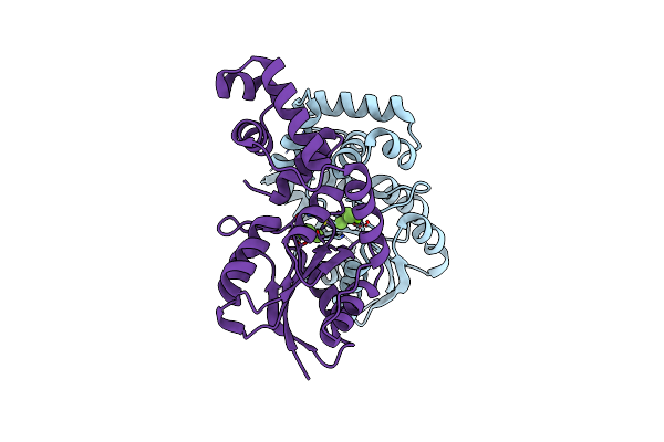 5O8Z image