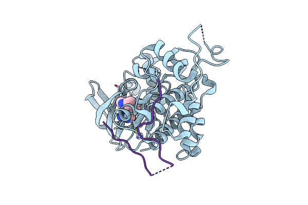 5O90 image