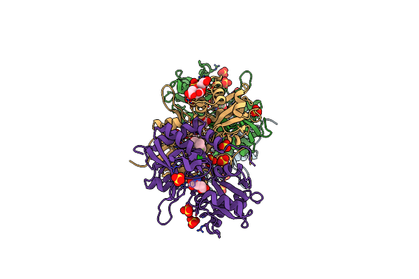 5O9A image