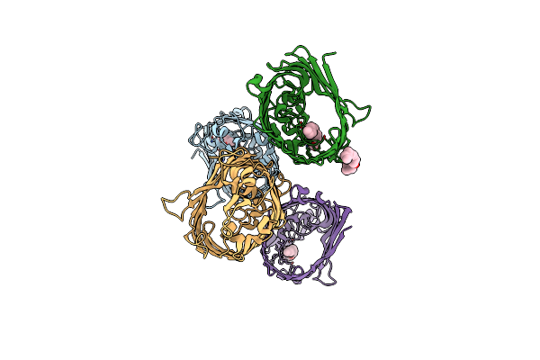 5O9C image