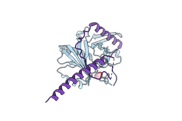 5O9E image