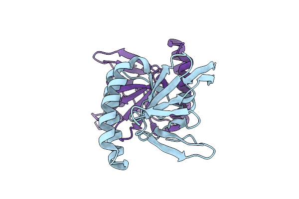 5O9L image