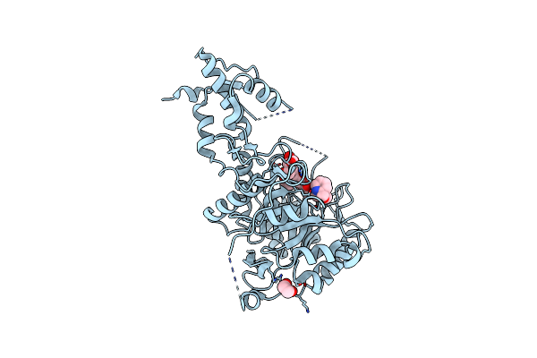 5O9P image