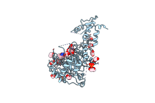 5O9R image