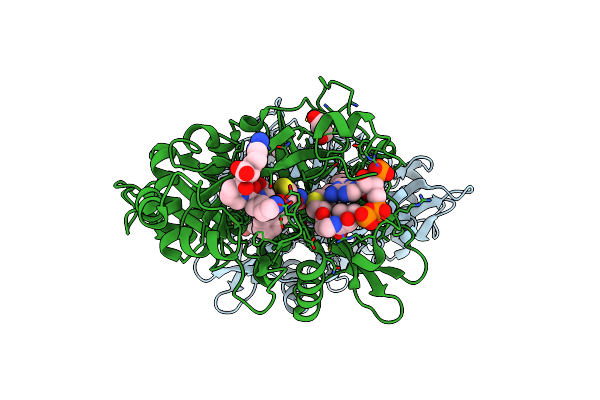 5O9T image