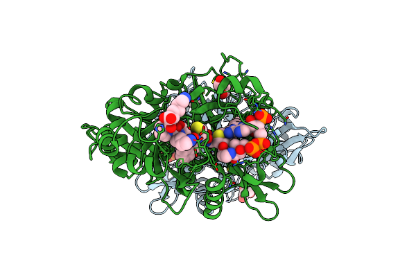 5O9V image