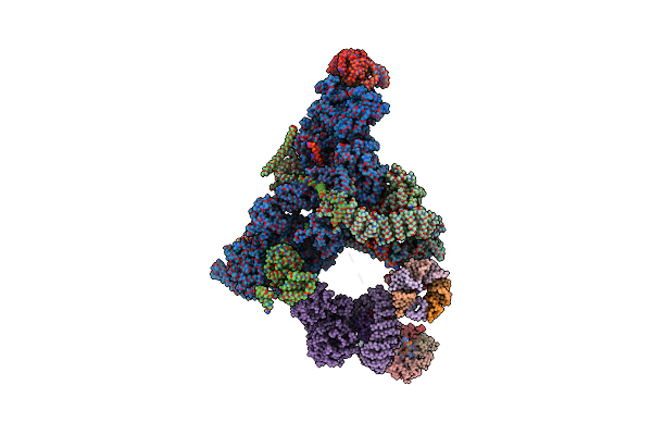 5O9Z image