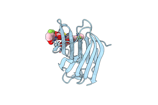 5OAX image