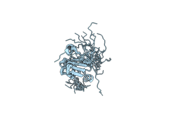 5OBN image