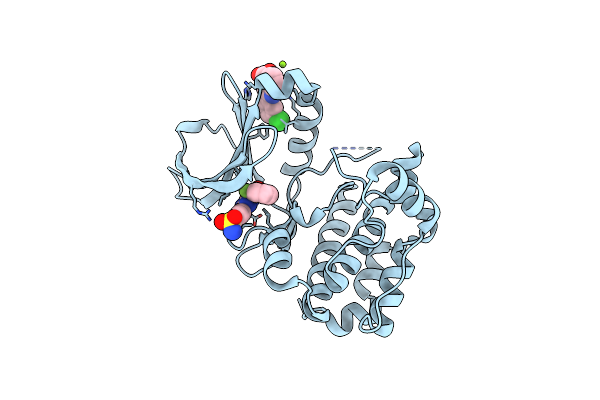 5OBR image