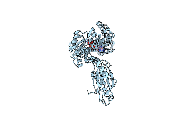 5OBV image