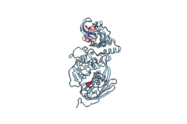 5OCB image