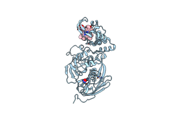 5OCF image