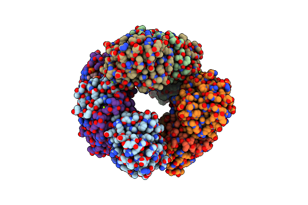 5OCM image