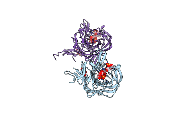 5OCQ image