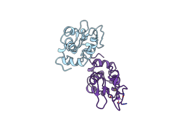 5OCV image