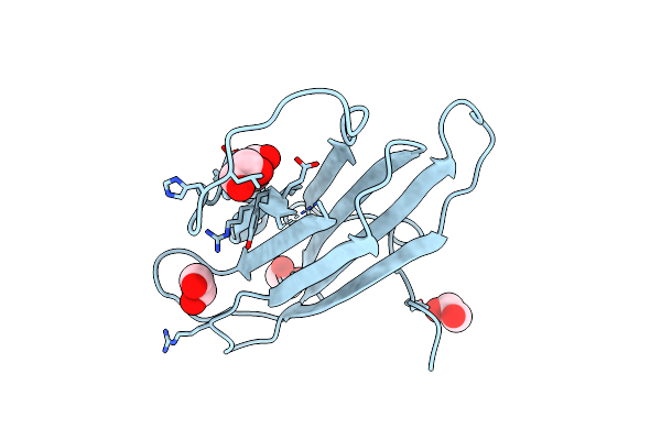 5OD4 image