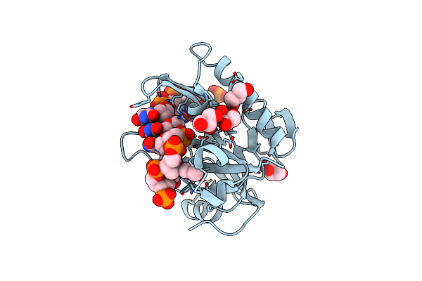 5ODL image