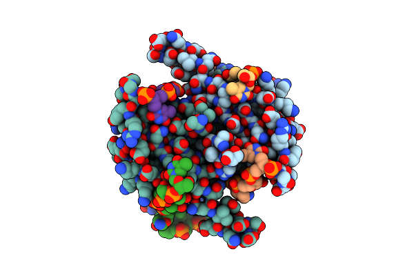 5ODP image
