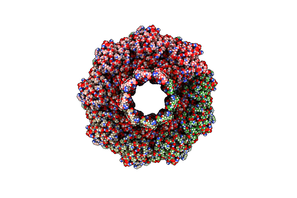 5ODV image