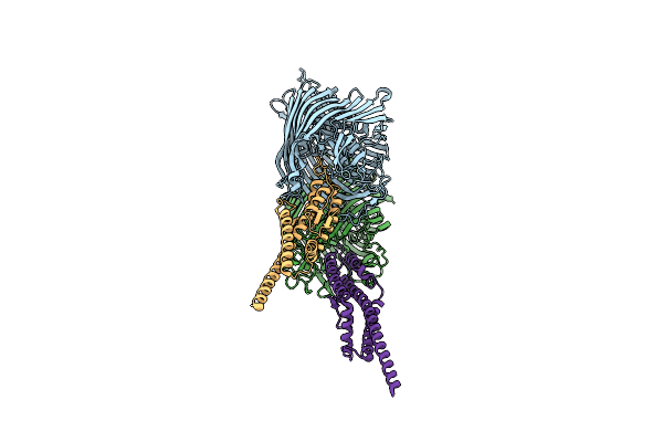 5ODW image