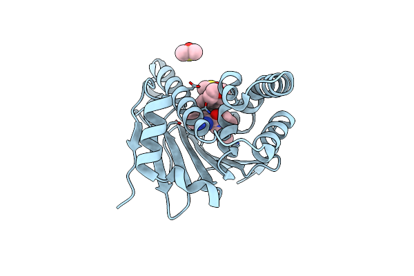5ODX image