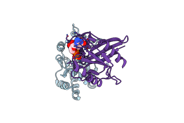 5OEC image